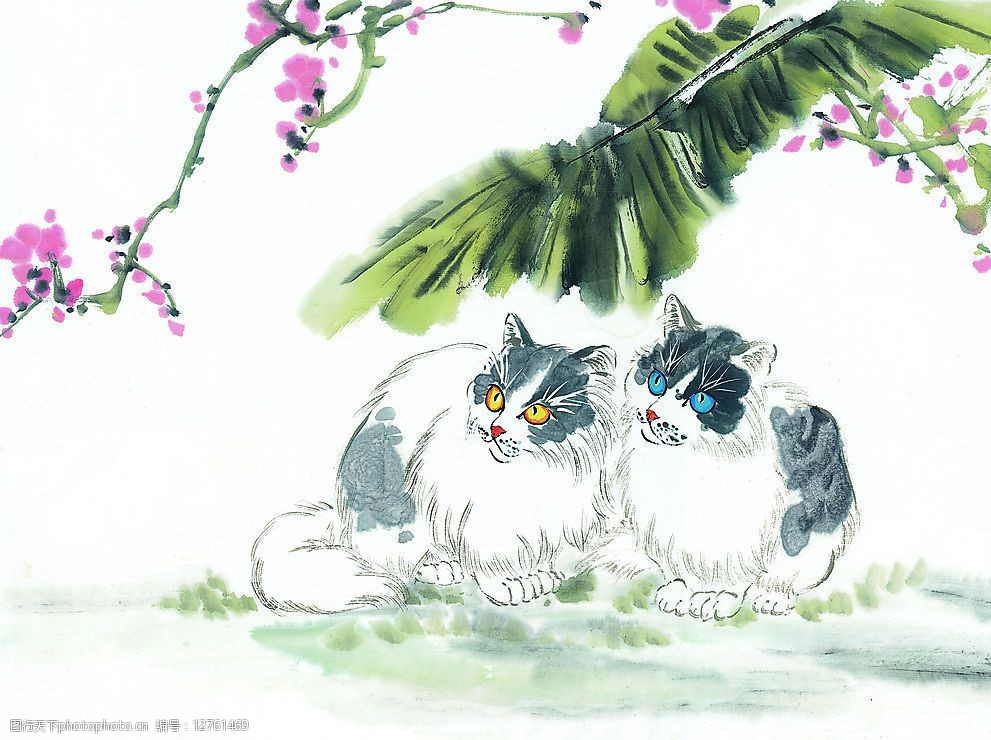 中国画--猫(51张)图片