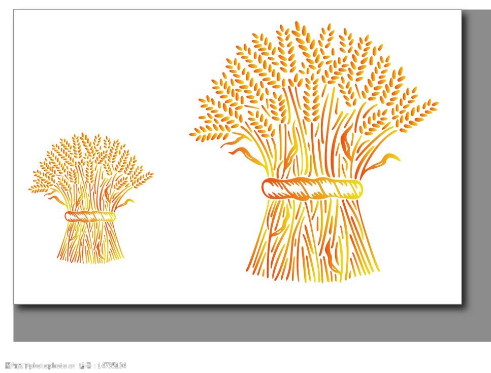 韩国精品花纹图片