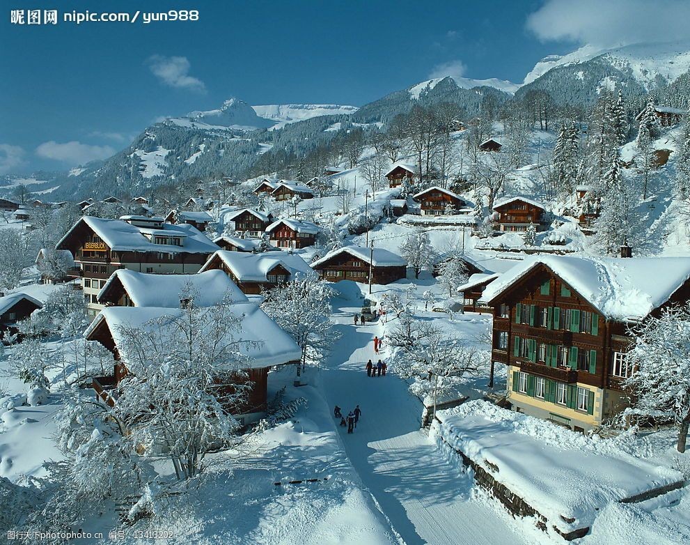 精品底纹素材-冬天雪景图片图片-图行天下图库