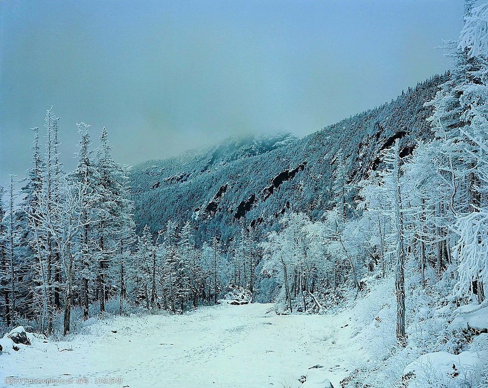 精品底纹素材-冬天雪景图片