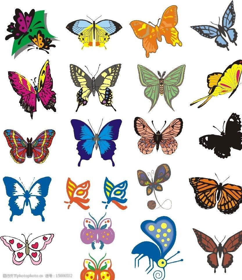20款漂亮蝴蝶图片