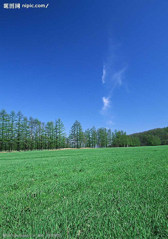 蓝天白云田野大地庄稼(老牛爱吃嫩草上传)图片