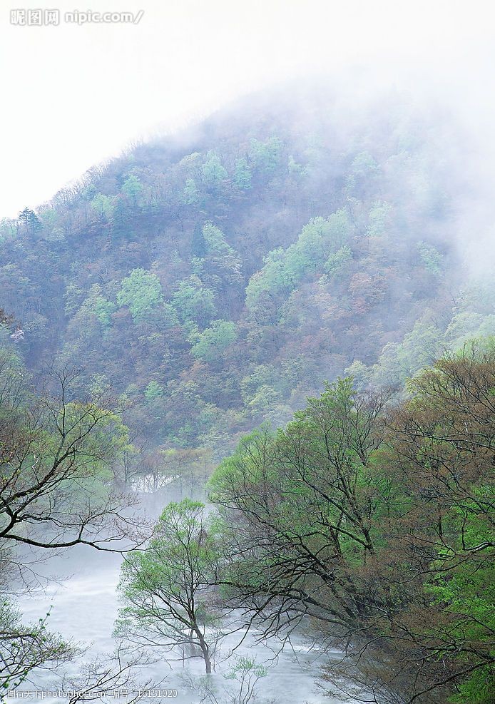 瀑布溪流树林河水老牛爱吃嫩草上传 自然景观 山水风景 瀑布溪流树林