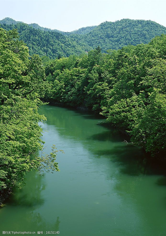 瀑布溪流树林河水老牛爱吃嫩草上传 自然景观 山水风景 瀑布溪流树林