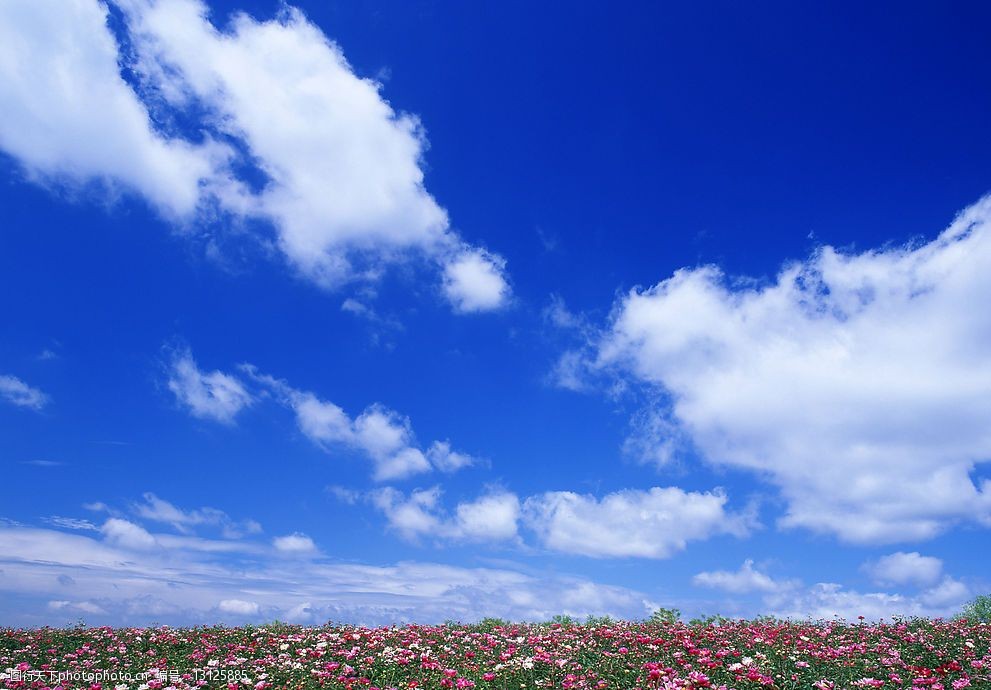 关键词:蓝天白云 天空 云 自然景观 自然风景 摄影图库 350 jpg