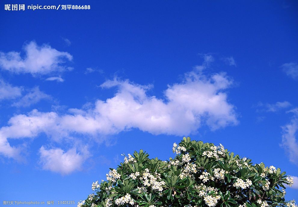 关键词:蓝天白云 天空 云 自然景观 自然风景 摄影图库 350 jpg