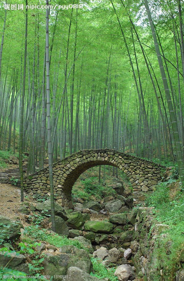 竹林石桥2 竹林摄影图片植物风景自然清新 自然景观 自然风景 竹林