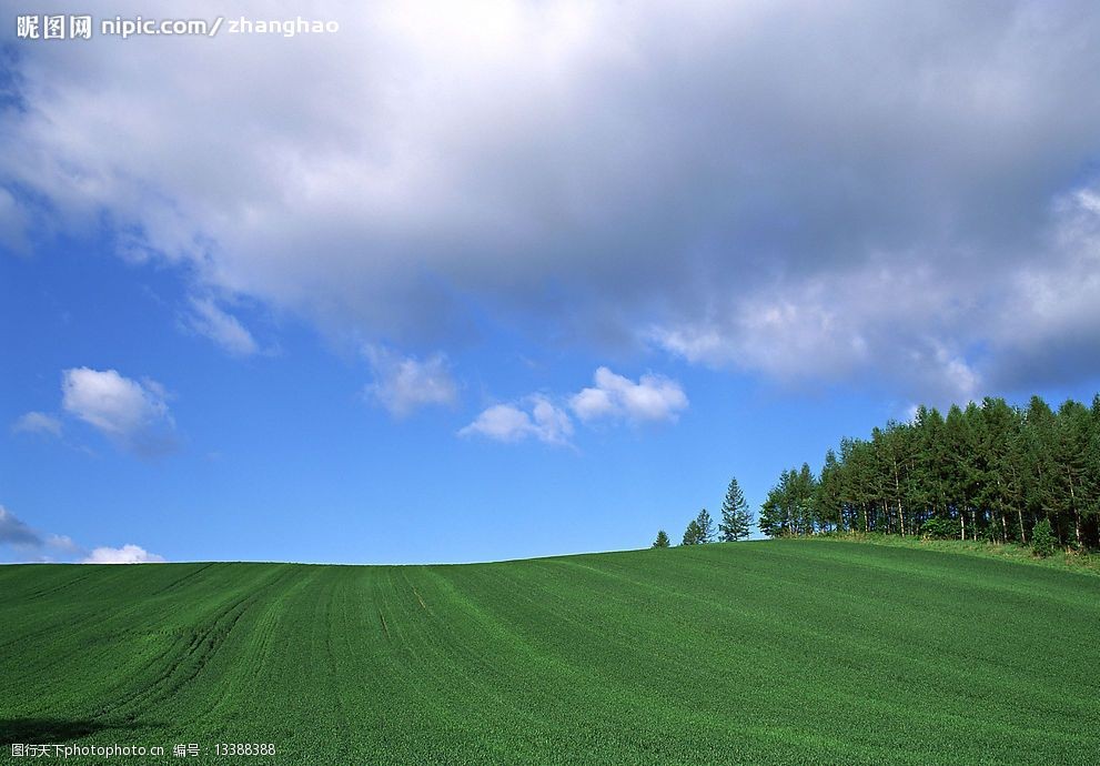 关键词:大自然花草003 蓝天 白云 草地 自然景观 自然风景 大自然花草