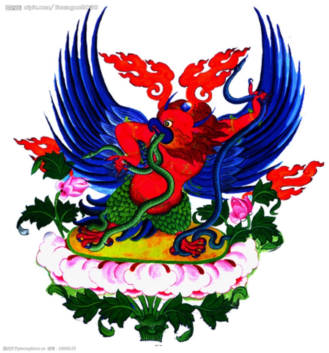 大鹏金丝鸟图片