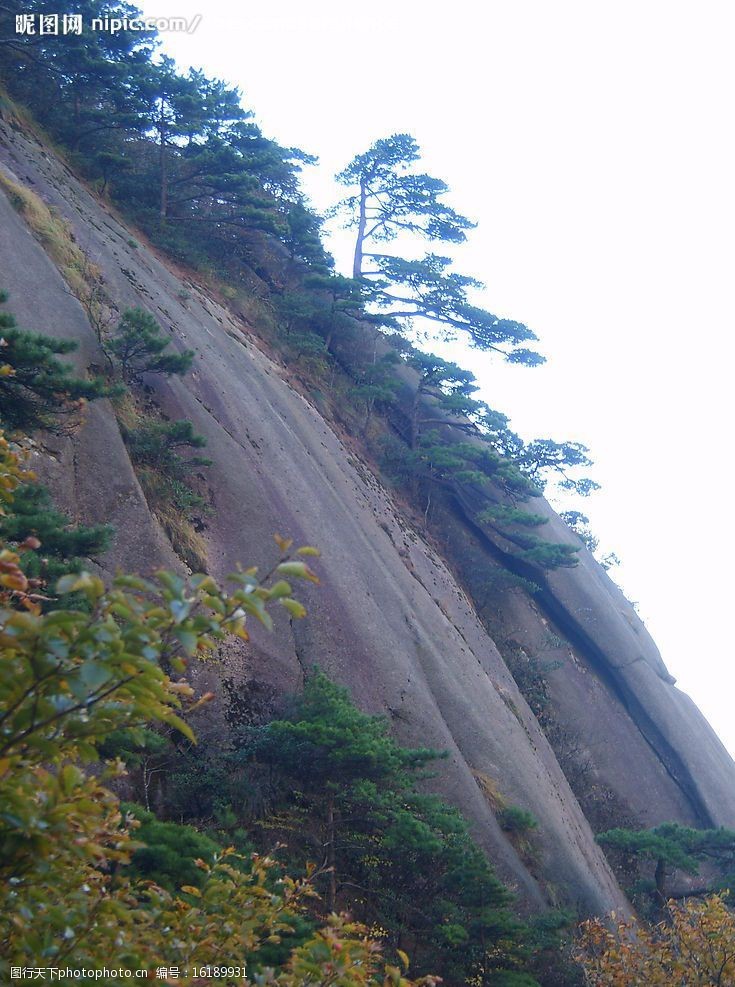 黄山风光图片