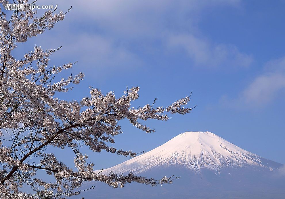 关键词:富士山风景 雪山 雪景 樱花 日本风景 自然景观 风景名胜 摄影
