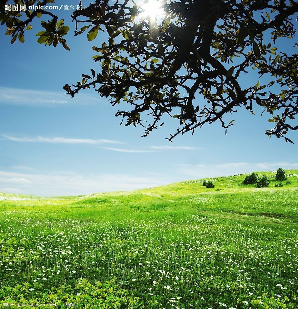 关键词:春天的草地与天空 蓝天 绿草 树 自然景观 自然风景 摄影图库