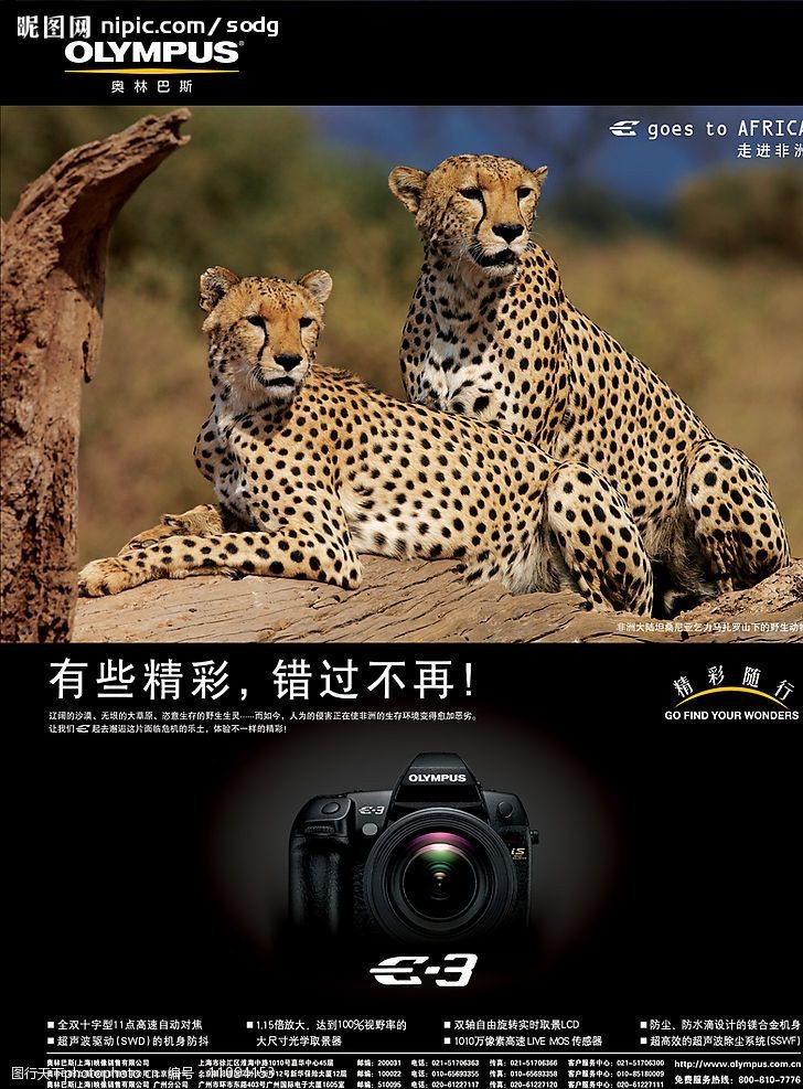 奥林巴斯olympus,e-3广告,豹子图片