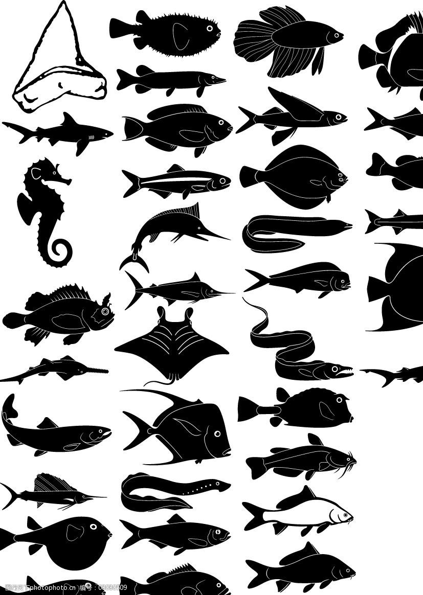关键词:海洋生物合集 海洋生物 动物 鱼 生物世界 矢量图库 ai