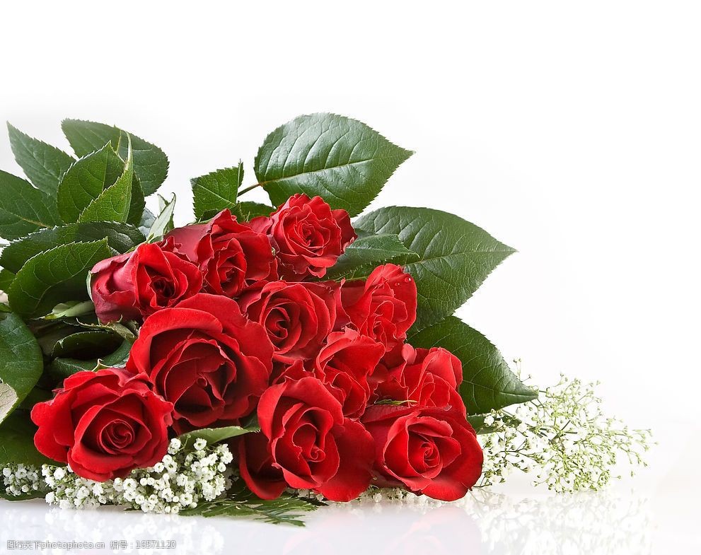 红色玫瑰花花束图片