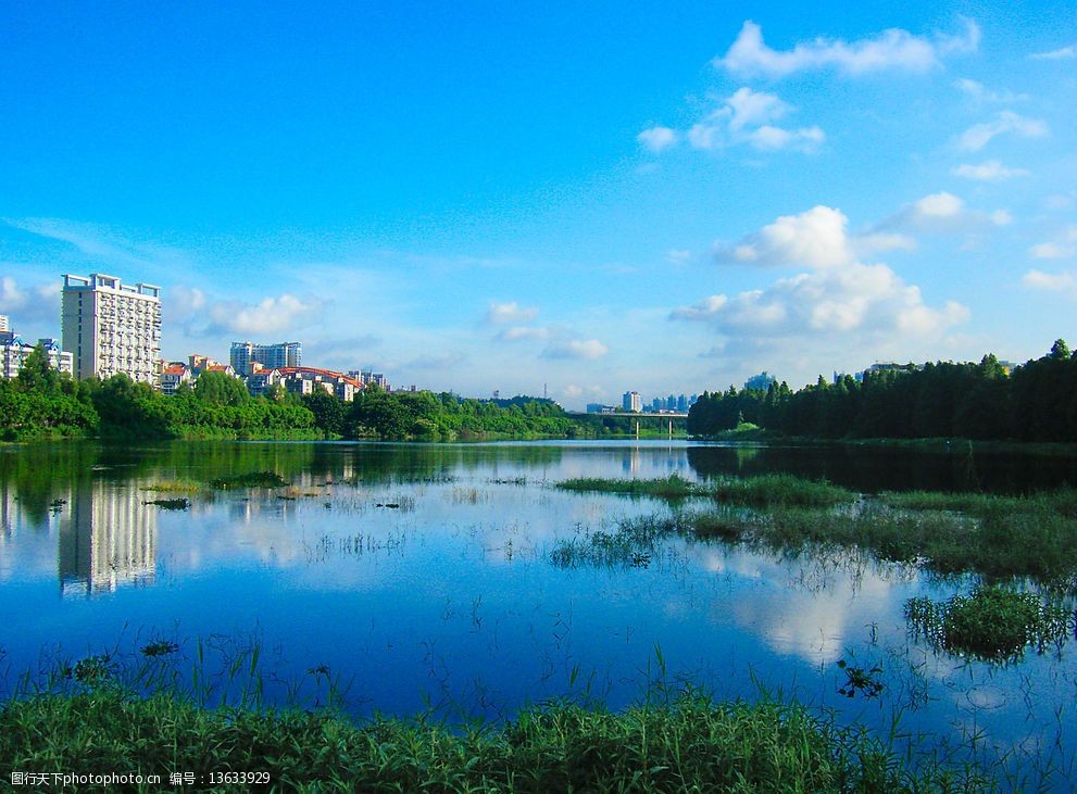 洪湖公园水景图片