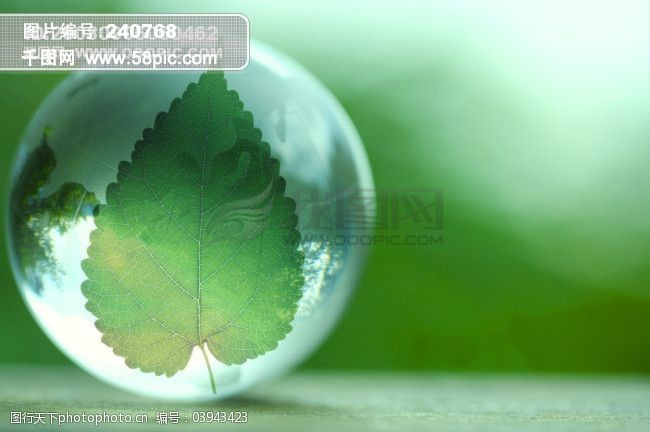 大自然环保绿叶蔬菜绿色环保绿色植物水户外