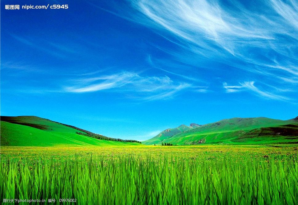 关键词:碧草蓝天 美丽风景 绿草 草地 山 天空 蓝天白云 风景 漂亮