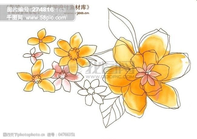 花纹花朵装饰修饰hanmaker韩国设计素材库