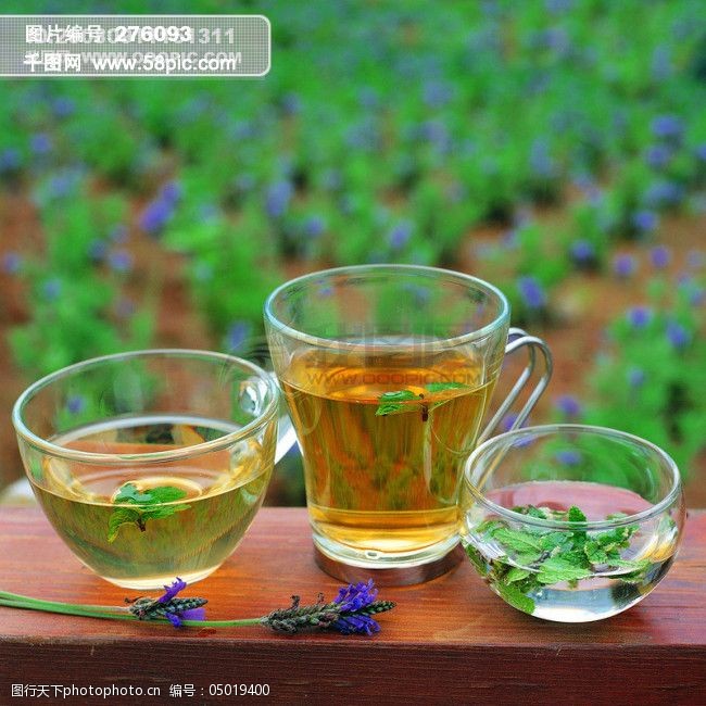 全球首席大百科花草茶饮品茶茶叶喝茶茶杯清茶健康花茶玻璃杯