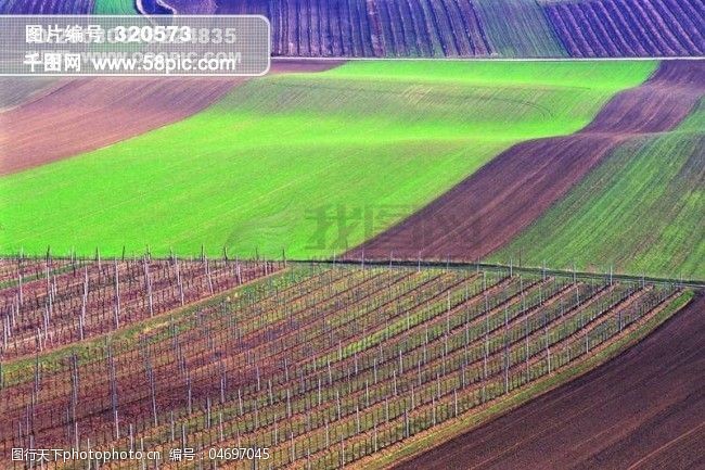 田园田野平原陆地草地风景风光种植大自然农田广告素材大辞典