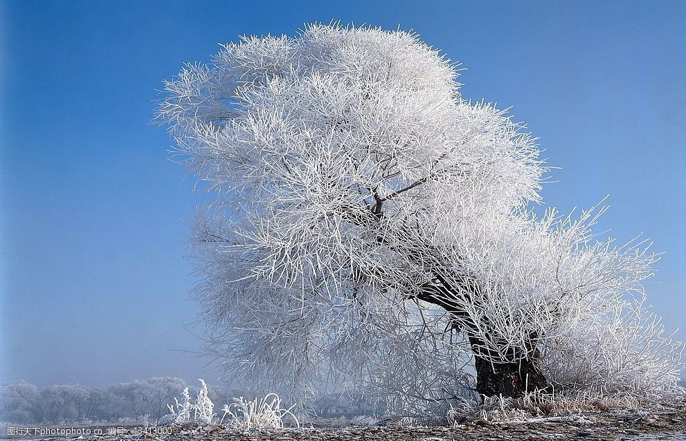 精品底紋素材-冬天雪景圖片