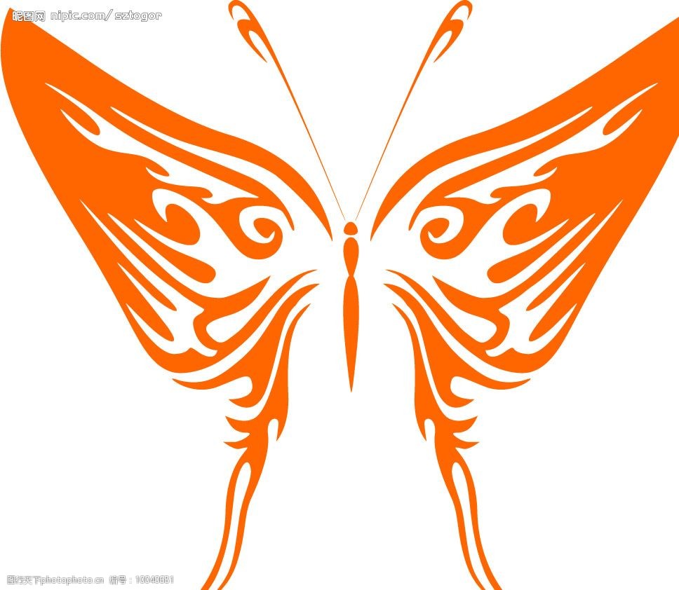 现代蝴蝶装饰矢量图案图片