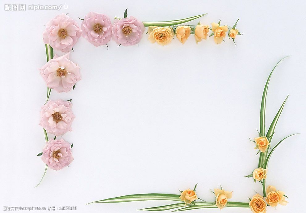 植物花朵边框12图片