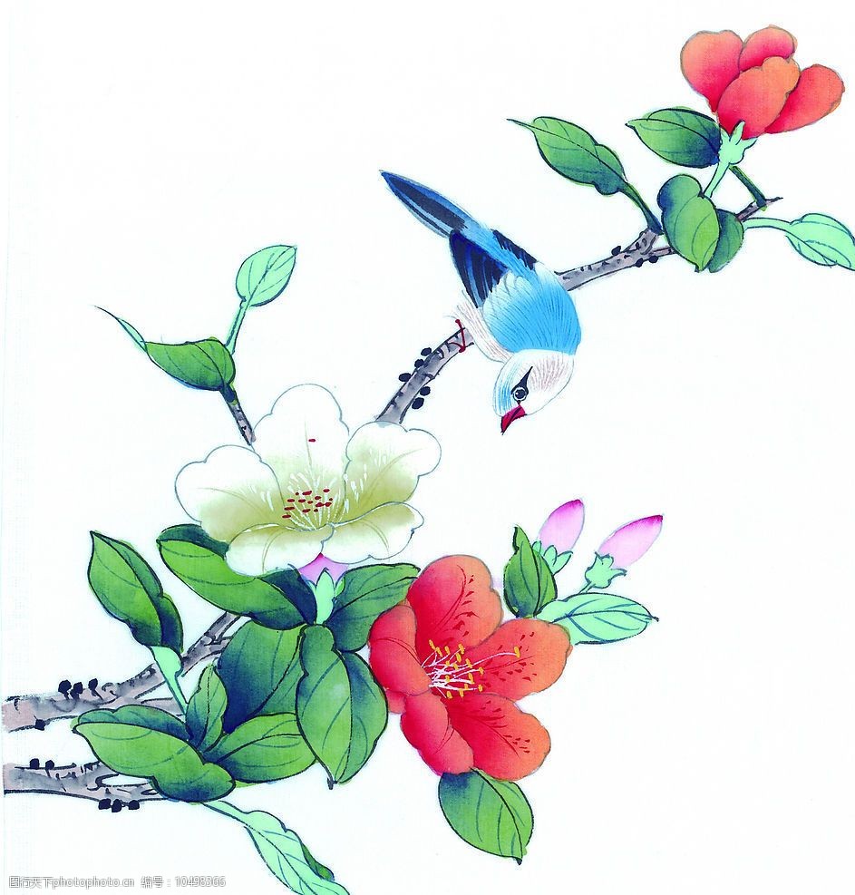 关键词:绘画花鸟珍品 中国绘画 文化艺术 传统文化 设计图库 古代艺术