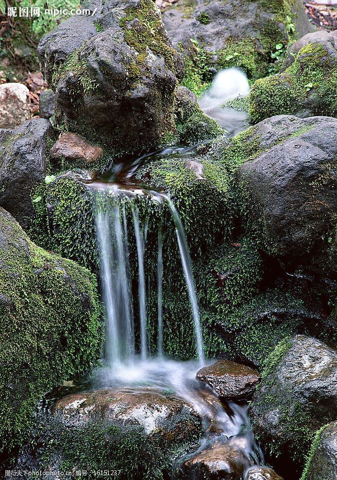 瀑布溪流树林河水老牛爱吃嫩草上传 自然景观 山水风景 瀑布溪流树林