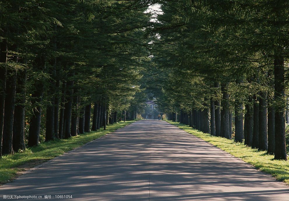 道路美景图片