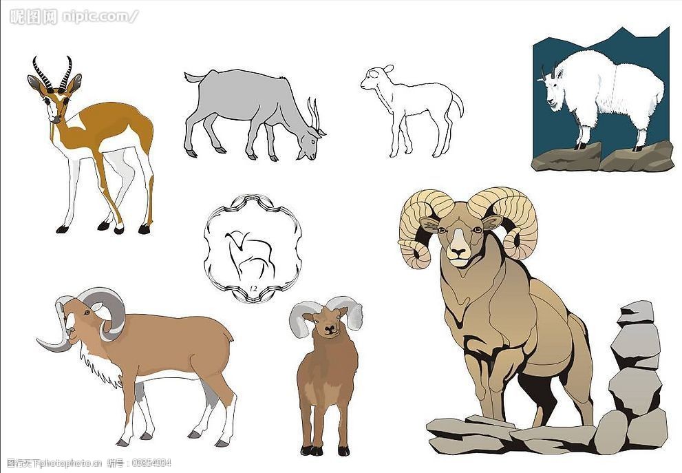 精选coreldarw矢量图——羊01图片