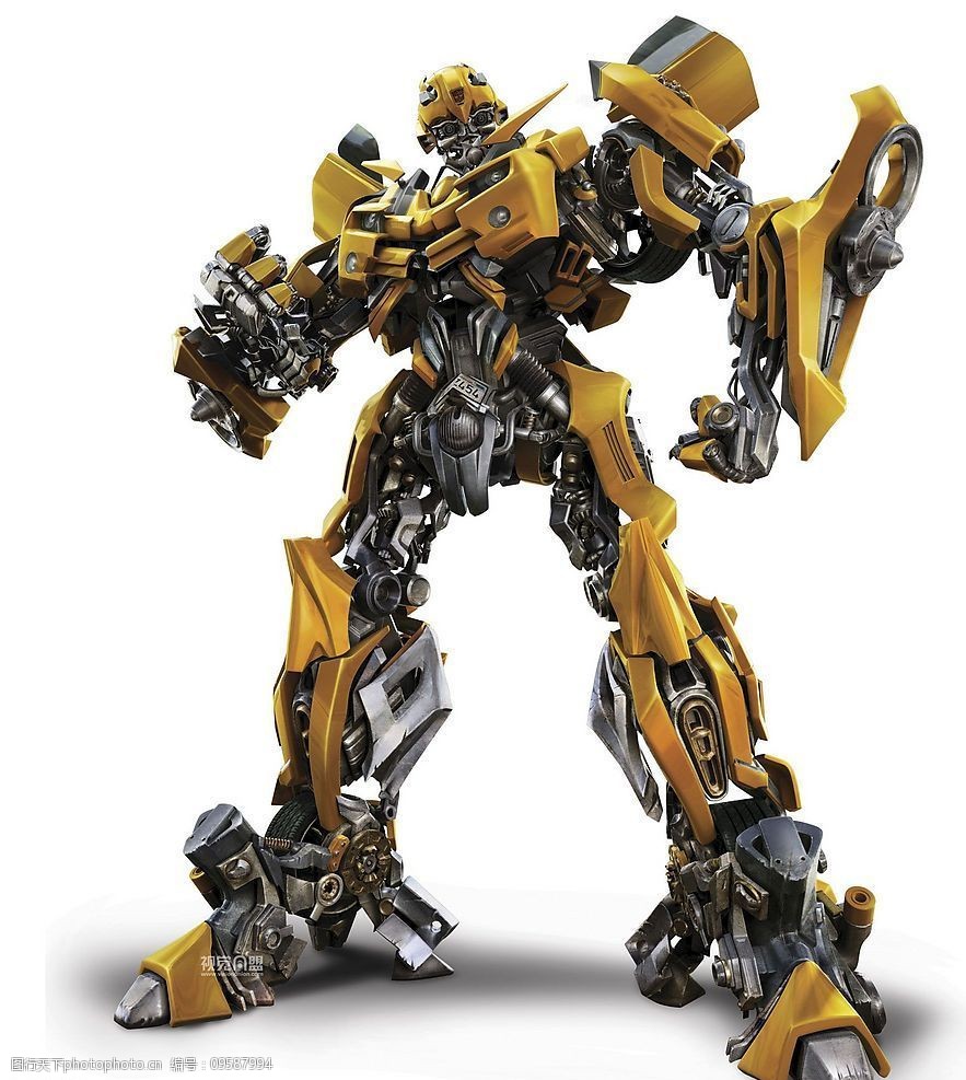 变形精刚图片