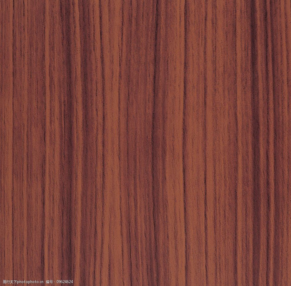 关键词:树纹75 树 纹 背景 底纹 生物世界 树木树叶 树纹 摄影图库