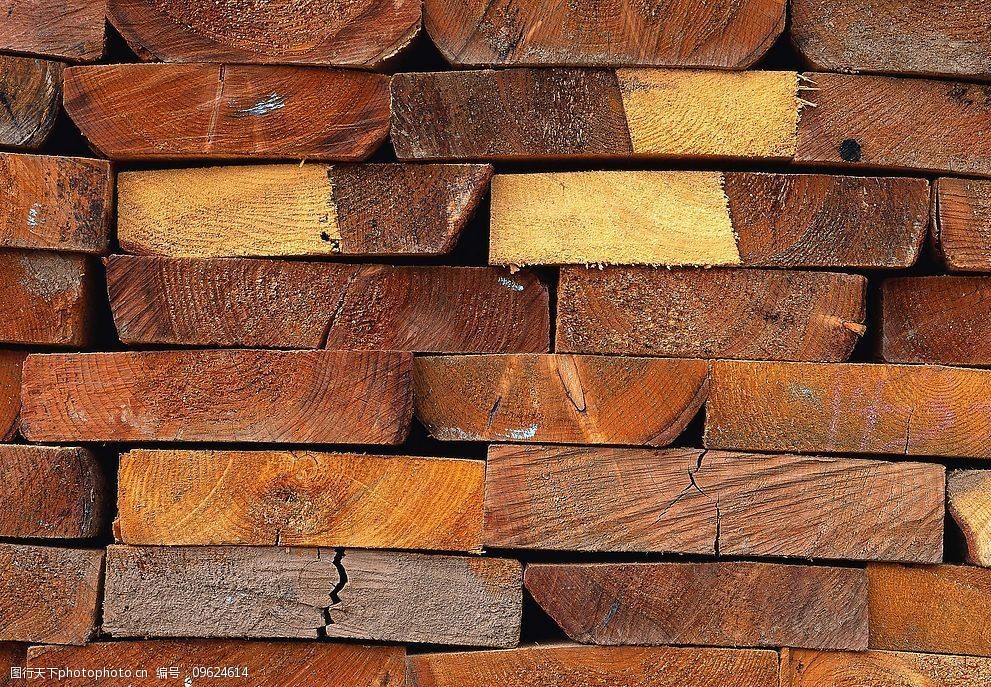 关键词:树纹84 树 纹 背景 底纹 生物世界 树木树叶 树纹 摄影图库