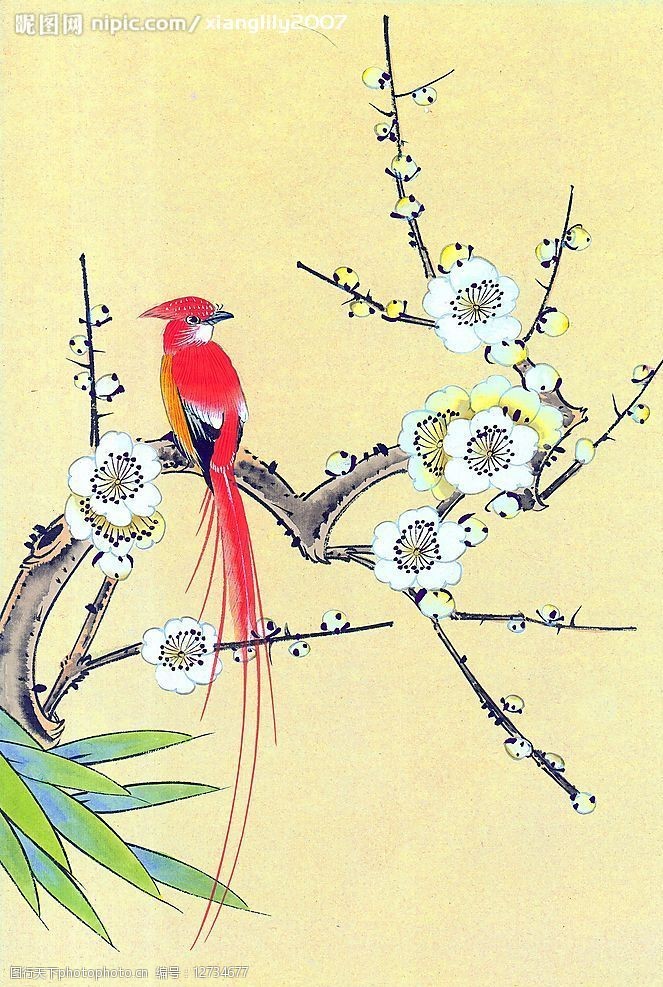 中国国树 国鸟 国花图片