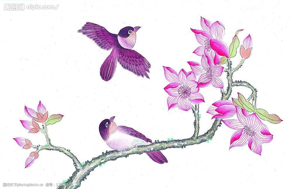 中国传统花鸟画课件图片