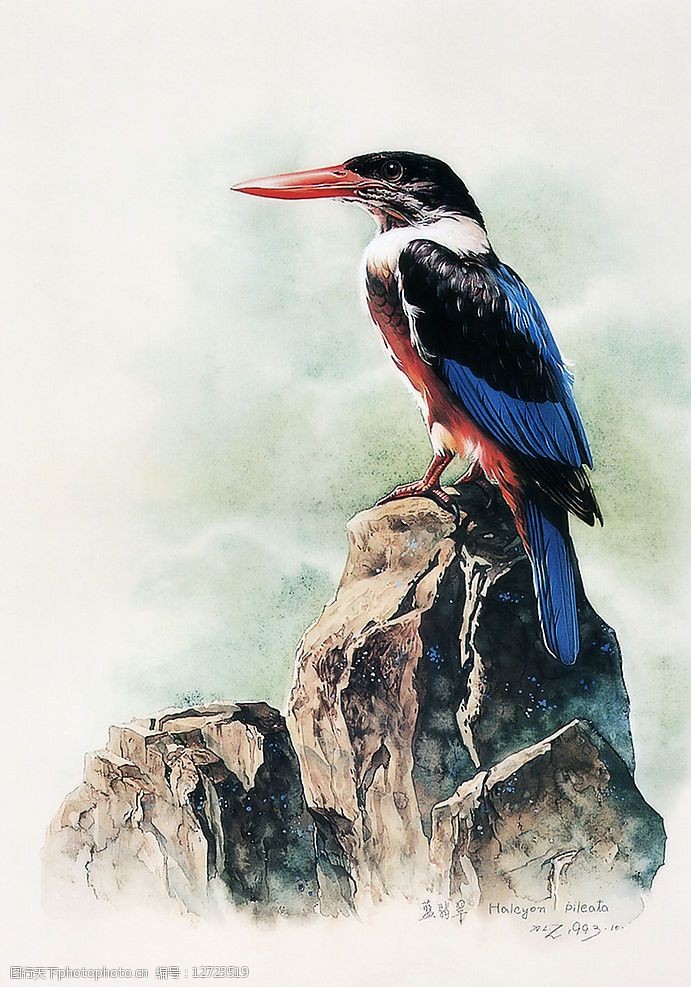 临渊羡鱼(蓝翡翠)图片