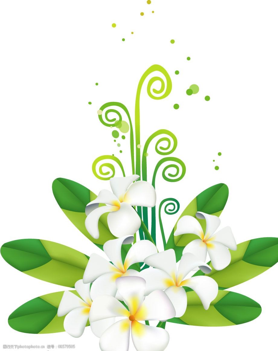 漂亮的花朵图片