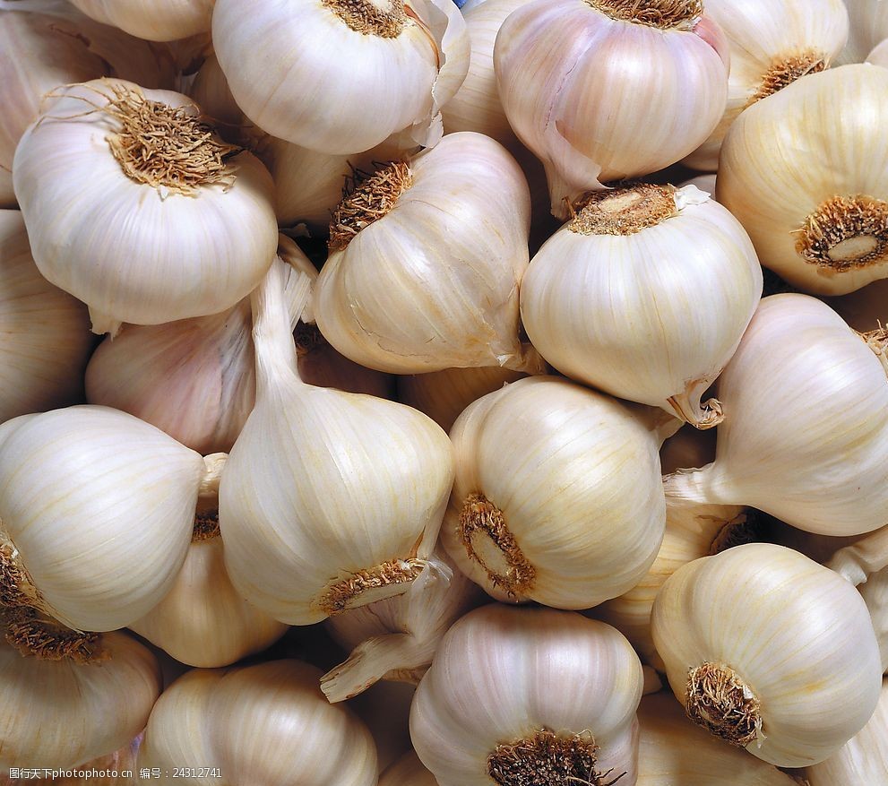 关键词:食品背景蒜子 底纹边框 背景底纹 背景底纹食