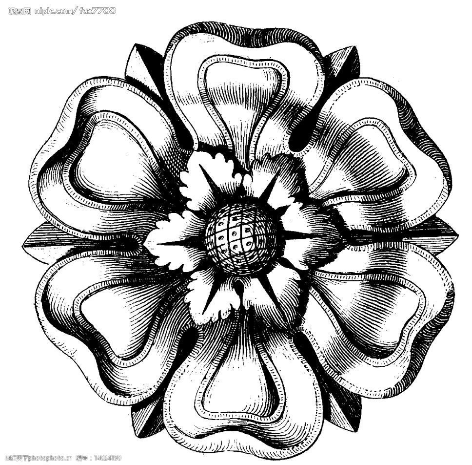 矢量古典纹样图片图片-图行天下图库