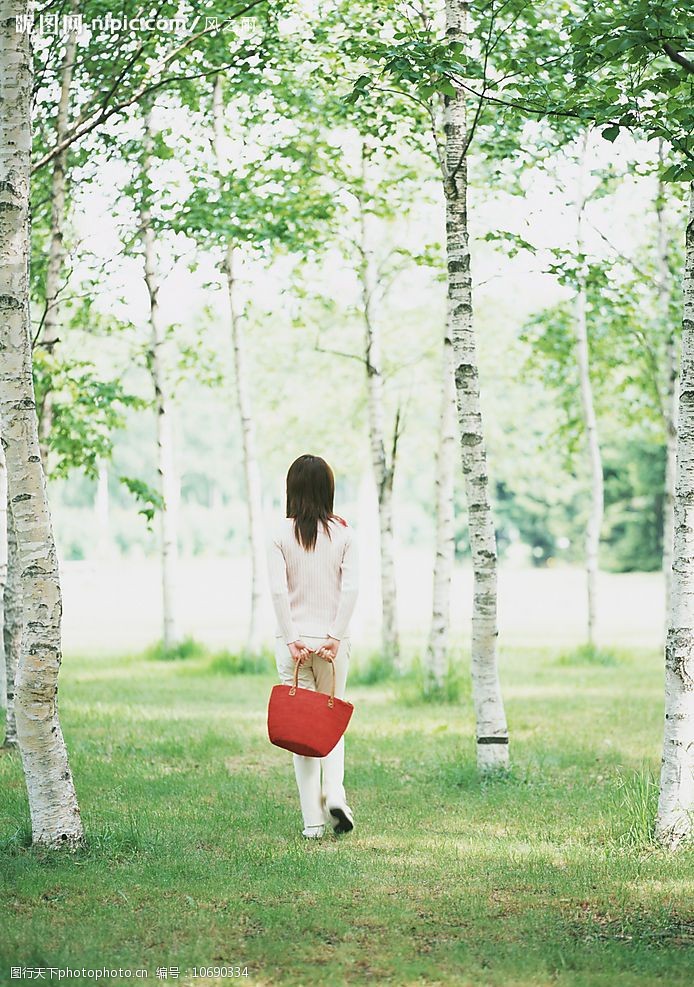 漫步在树林中图片