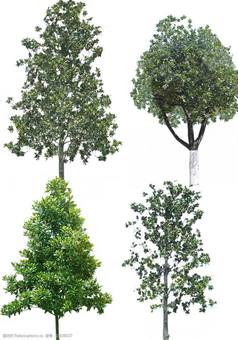 建筑效果图用素材图片