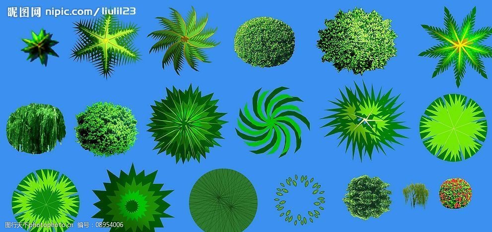 园林植物平面素材彩图图片