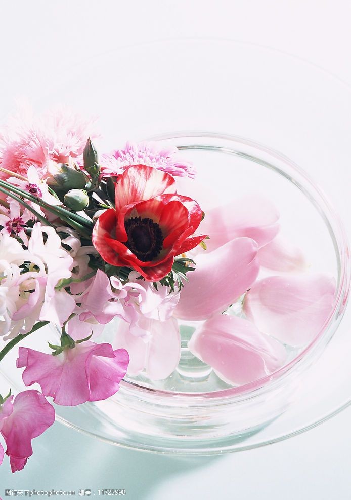 关键词:婚礼小物 婚礼 花 花瓣 生活百科 其他 摄影图库 350 jpg