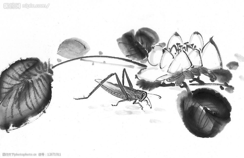 关键词:花鸟鱼虫 水墨 花 鸟 鱼 虫 文化艺术 绘画书法 水墨花鸟鱼虫