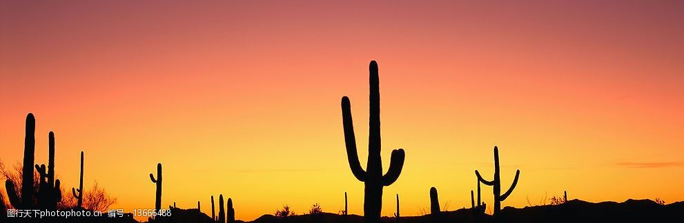 关键词:夕阳剪影 落日 红日 高精度 风景 素材 自然景观 其他 摄影