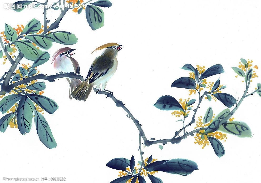 国画-枝头飞鸟图片