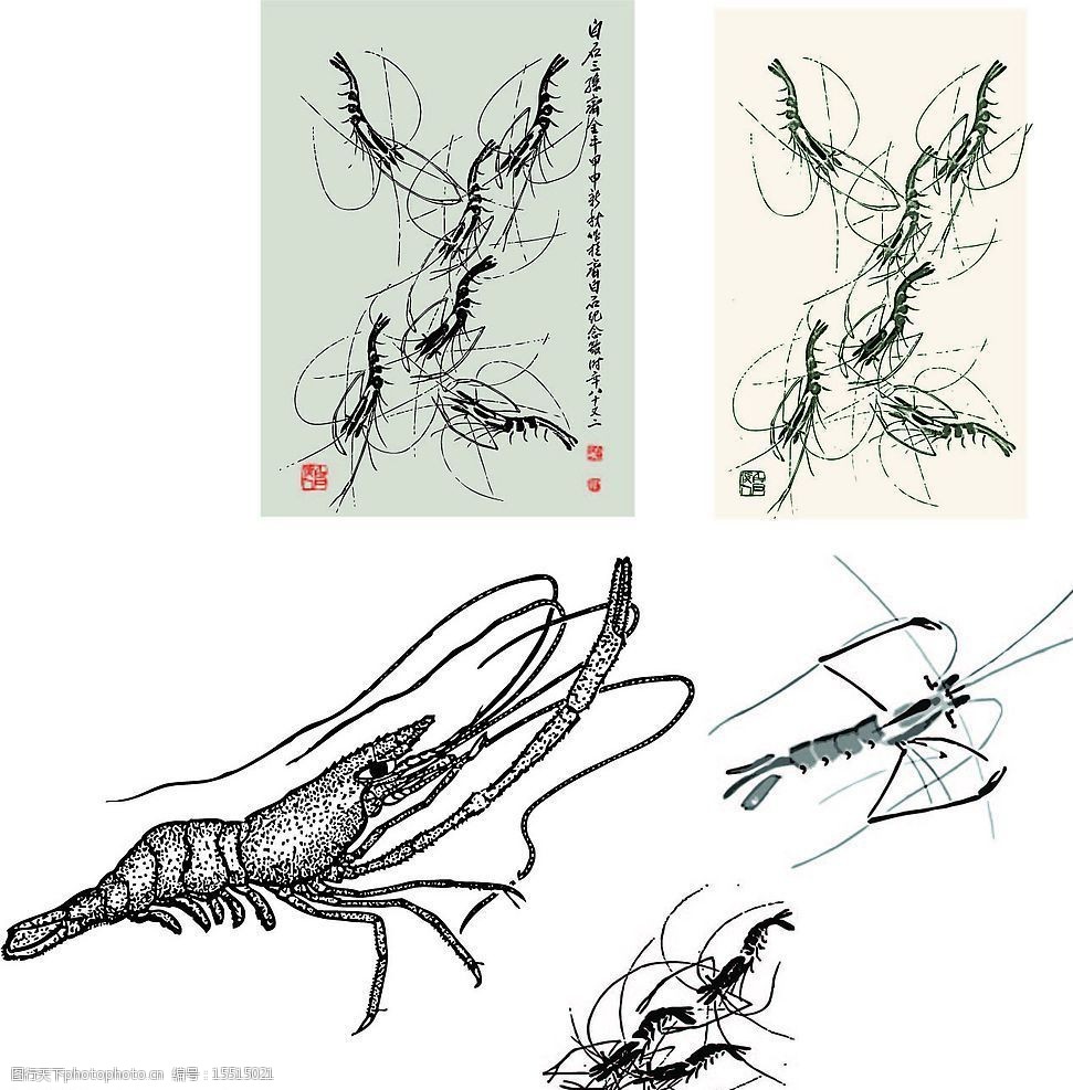 矢量动物小虾图片