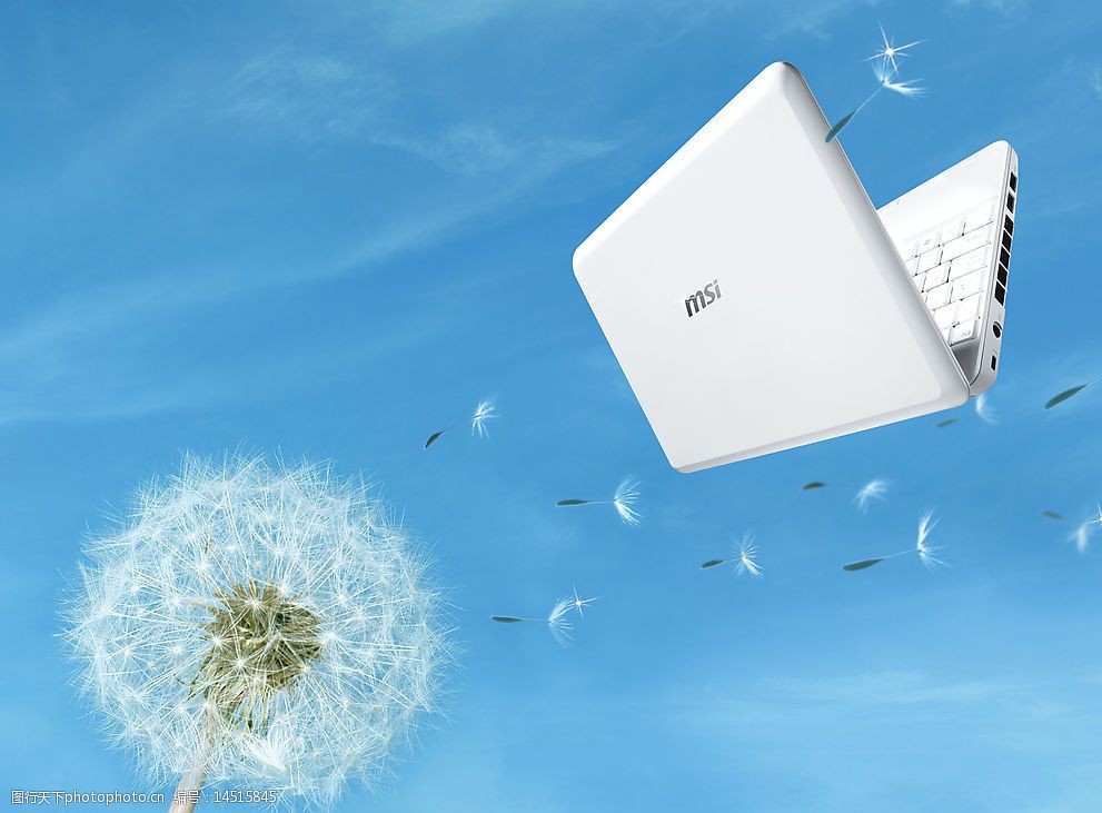 广告蒲公英笔记本图片